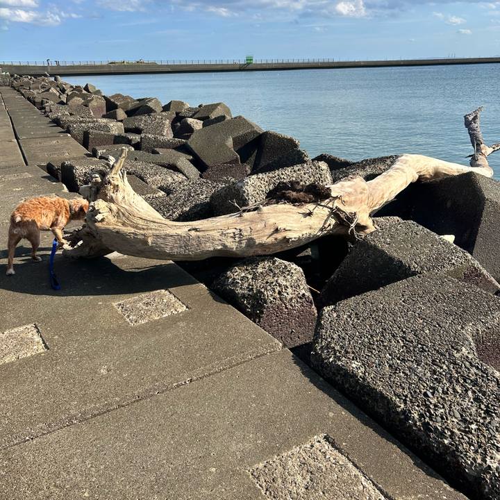 B79425da decb 4611 ad4b 72040f0d456a 1758711371815