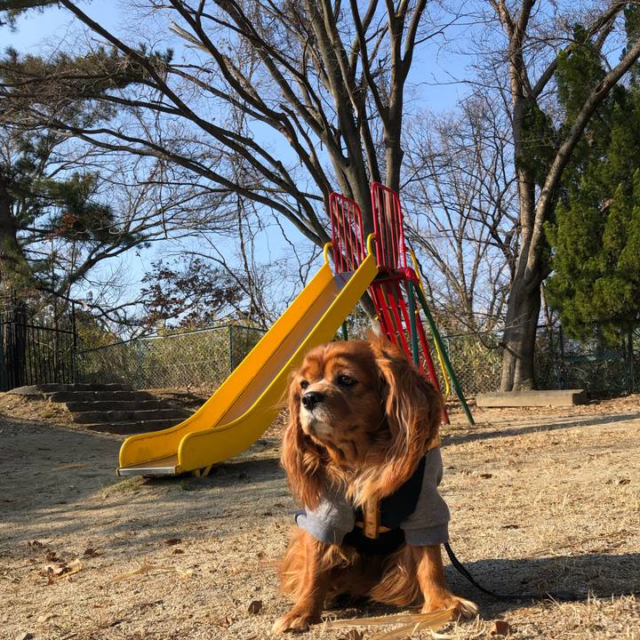 B7944240 636e 4208 b88c 3b68067aa7cf 1645921986503