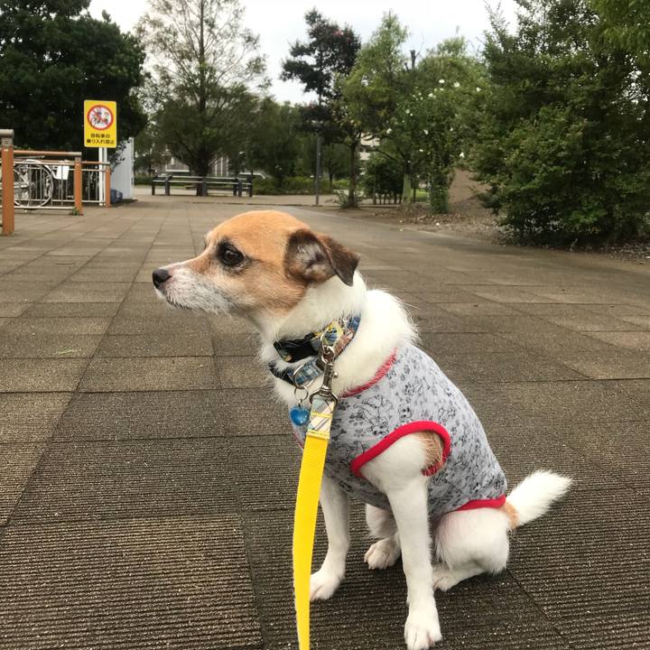 B7944c49 244f 4de2 ae47 2e0d0d999d0d 1536101553770