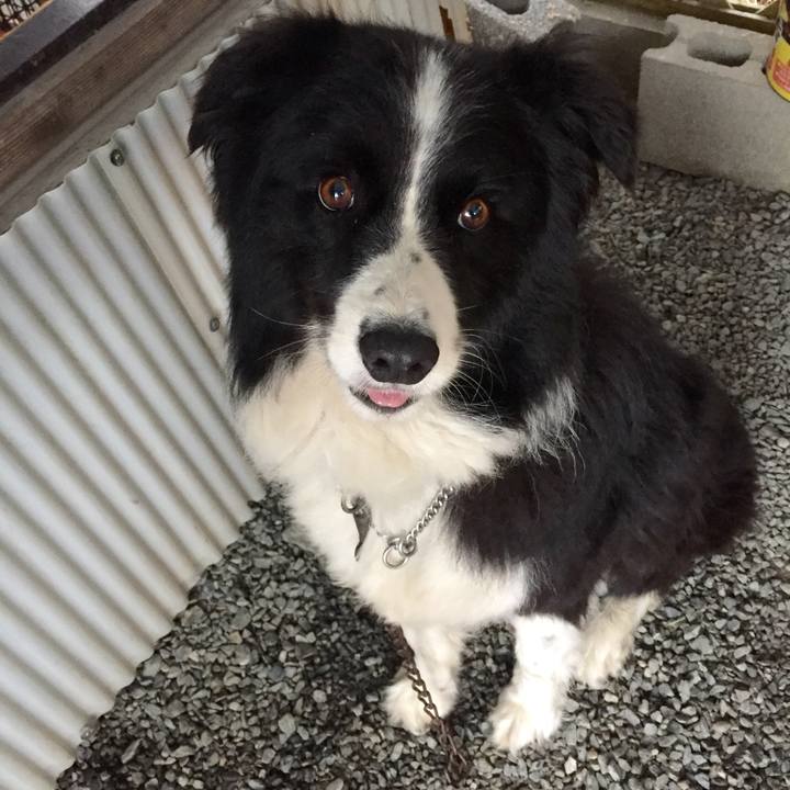 B79457ca 9eba 47ee 8829 1d3f2852e86d 1535583862283