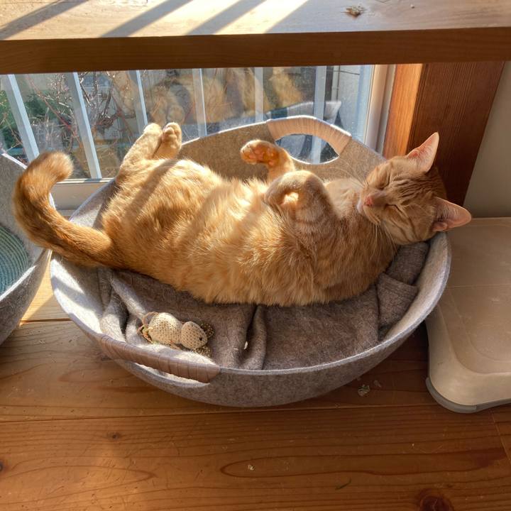 B7947ad1 d336 4699 8feb a585619cc7ff 1645482449078