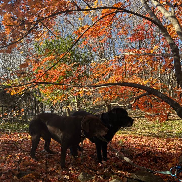 B794aa94 f3a6 47a5 bb59 e1b8cc1b3558 1763981567086