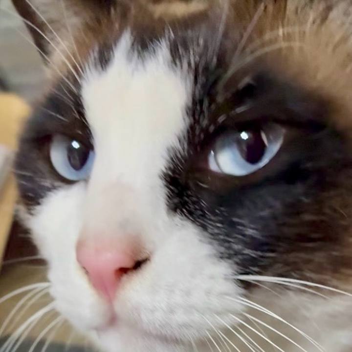 B794e270 f5fd 4d74 ac26 a87005436ce0 1775820660903