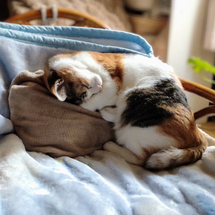 B794f931 7007 435e 9fd5 d446511a8d85 1742879494366