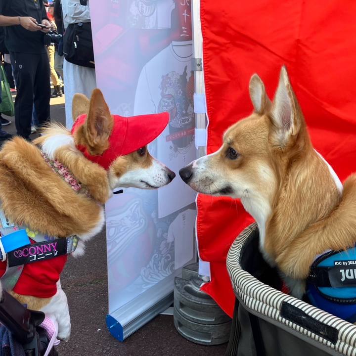 B79516a5 c087 4d2a 9ebb f8e59e36284d 1758943840693