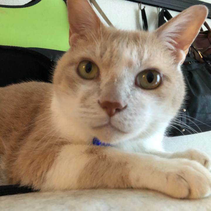 B795327e 43b2 45ae 938f fc9a2e022f1a 1527155916393