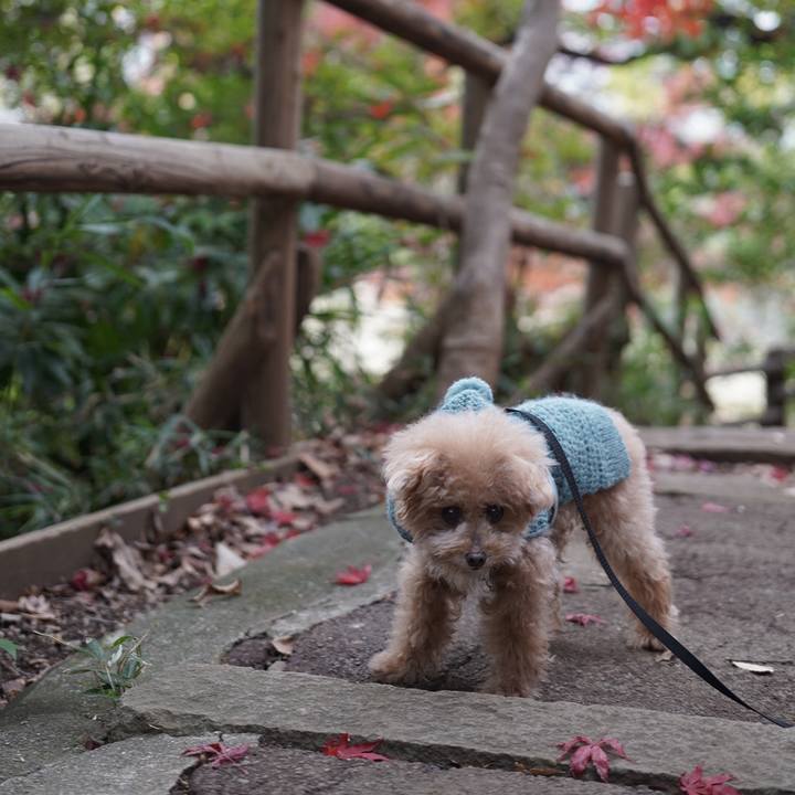 B7953a36 6365 4b46 90d3 166a77833c89 1698929311907