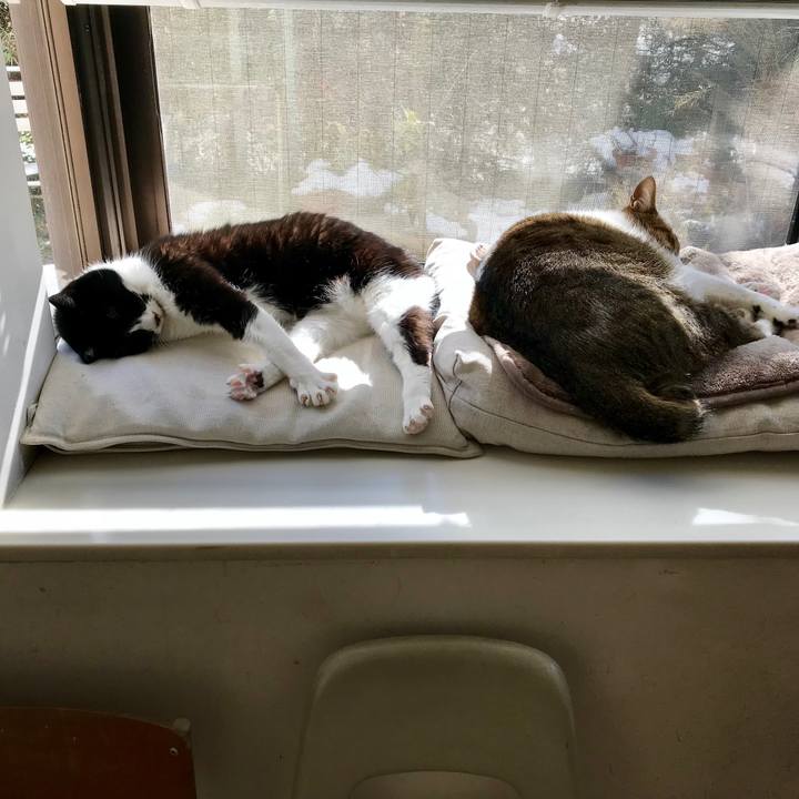 B795458c 945f 4633 a523 8bcac398f133 1516860111112