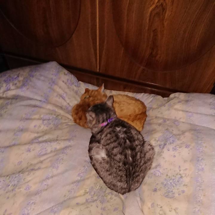 B79550c1 f13e 46eb 8f77 560bf4b96e2b 1583162055853