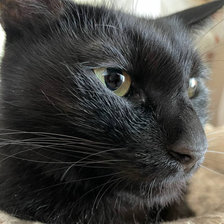 B7958afc b2af 4907 a663 468d7d93196c 1661169218296