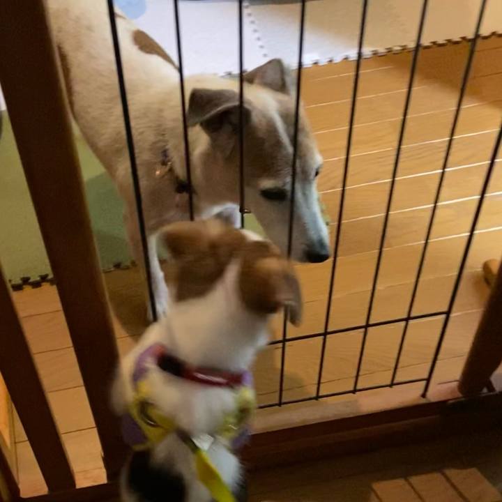 B795926d 5443 471f 88cb d1cd38c91a1d 1612132595594