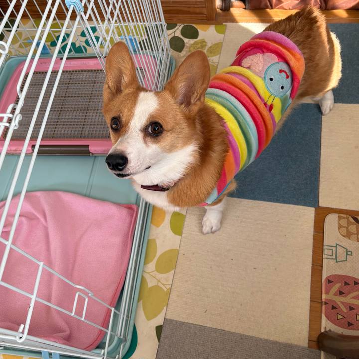 B7962f51 55d9 4a6c 8b25 926ac60fa6e0 1773208528359