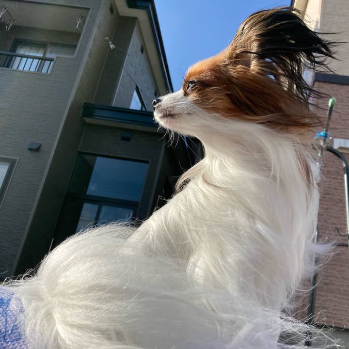 B7964290 5011 498c a69e 808366b54705 1644545505489