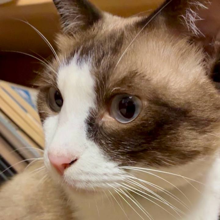 B79668a5 f648 43ba a9be b1a2d446bc8f 1756952348046