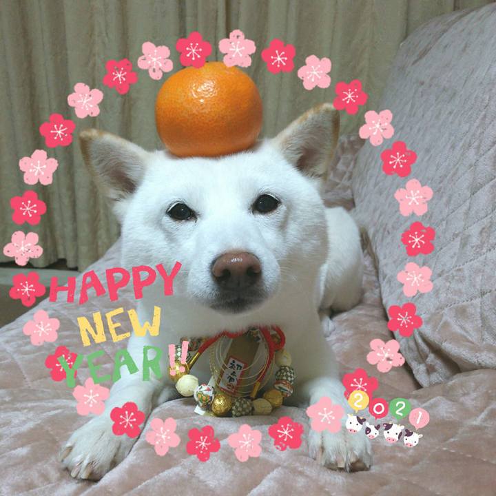 B7967cec 0981 4916 a3d4 6d368a27ece7 1609427093329