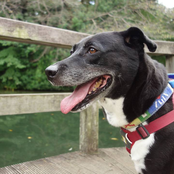 B7967e2f c3b8 4faa b1fe 1a0d07df3f09 1696033874555