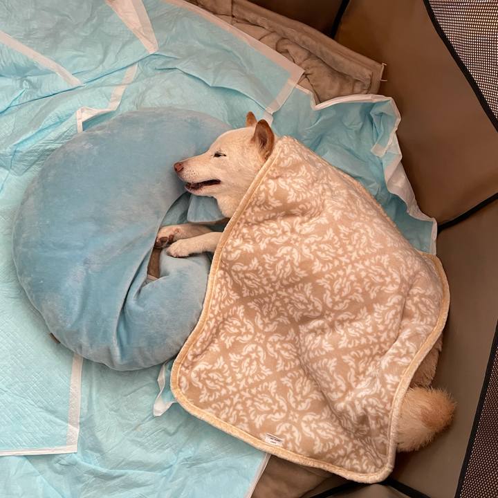 B79693e4 cfd4 4e08 8c8c 7659c218a6c2 1640838986397