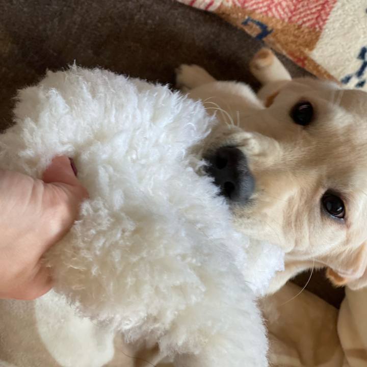 B796a1c4 81ae 4bc4 a240 e9a246a02689 1615162458362