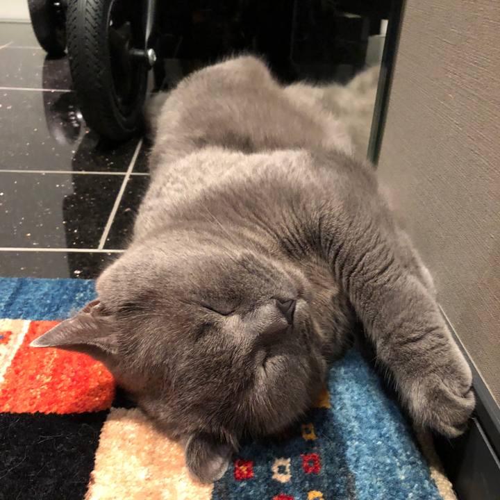 B796ace8 cae6 45c8 9b9f 22851a7247d4 1538610886374