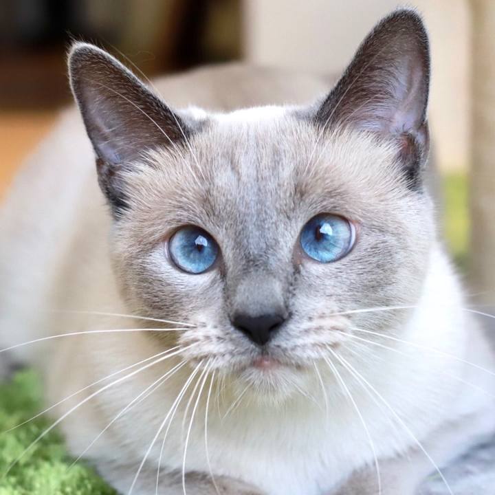 B796c0fe ea8e 4611 9b6e 7f0b335ced00 1677237629206