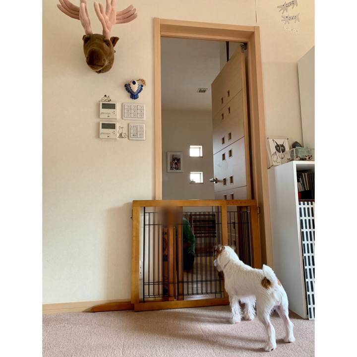 B796c4e5 4b6f 4799 adfe 2dc9b65962cc 1601701843395