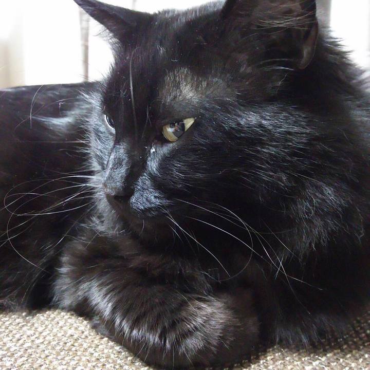 B796e3fb cefa 419b b99f b8015210f369 1522876097614