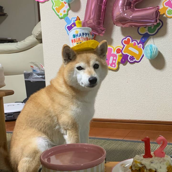 B796e4ee 8fca 4aea 91fd 07fa5fbf67ca 1662045203821