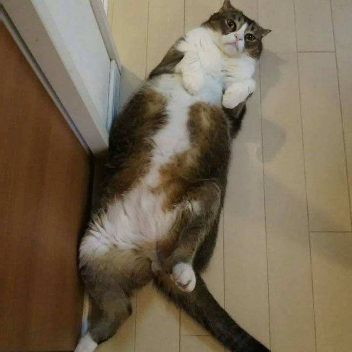 B796e71c fb64 40ca aa62 44a8e7466ead 1534299303474