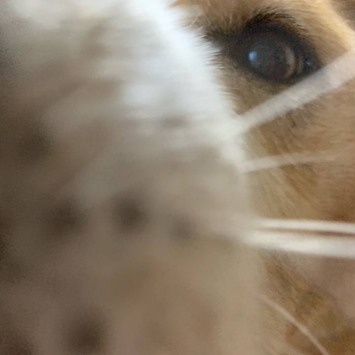 B796fe33 1b88 4a58 a519 5f2128a9bba0 1551597673201