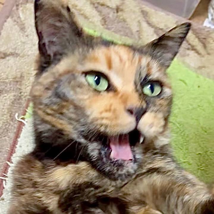 B7970333 c753 4239 bc6d d3af3d55a1ed 1747254000219