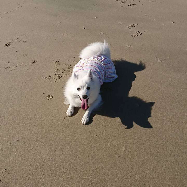 B7970e23 57c8 4b6d 8606 b2d9b1f70cb0 1541841785724