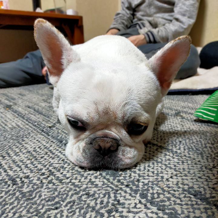 B79725e7 5065 4555 8e2e 143f432a4f6b 1651052384322