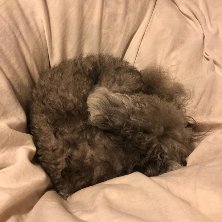 B7972945 d912 4241 85ee c9547cce1968 1541290749358