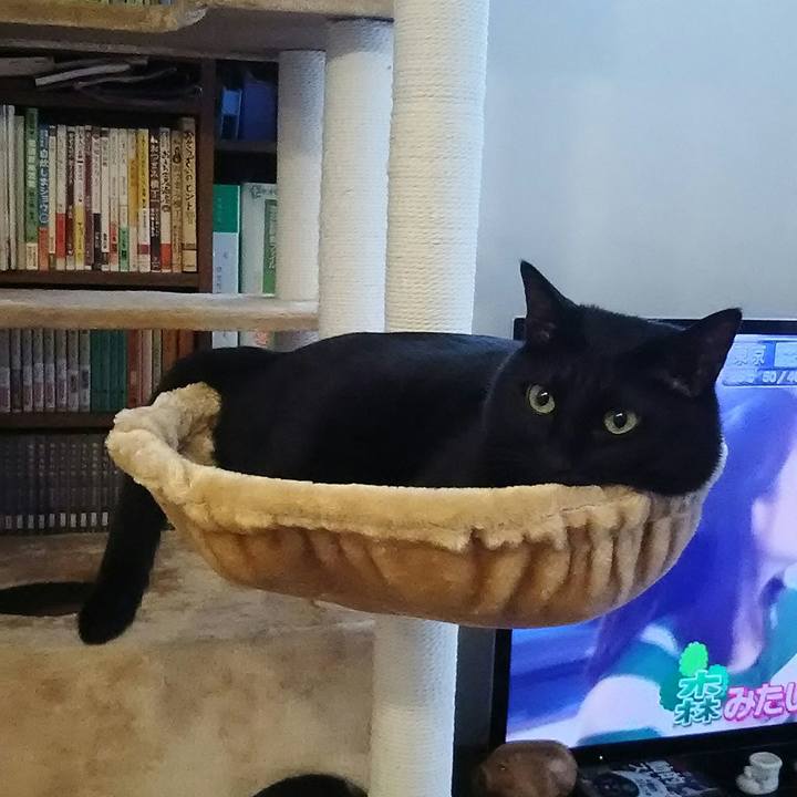 B79765b7 3047 49ab 96ce bacd33e2ab9c 1556146225705