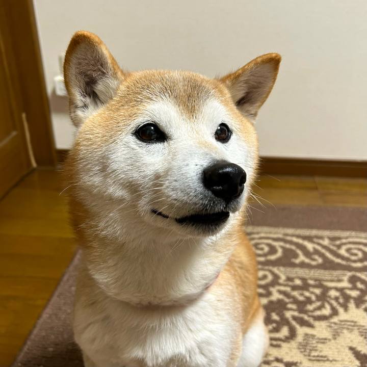 B7976997 0f52 47b4 8204 39cfa139dda5 1704625465084