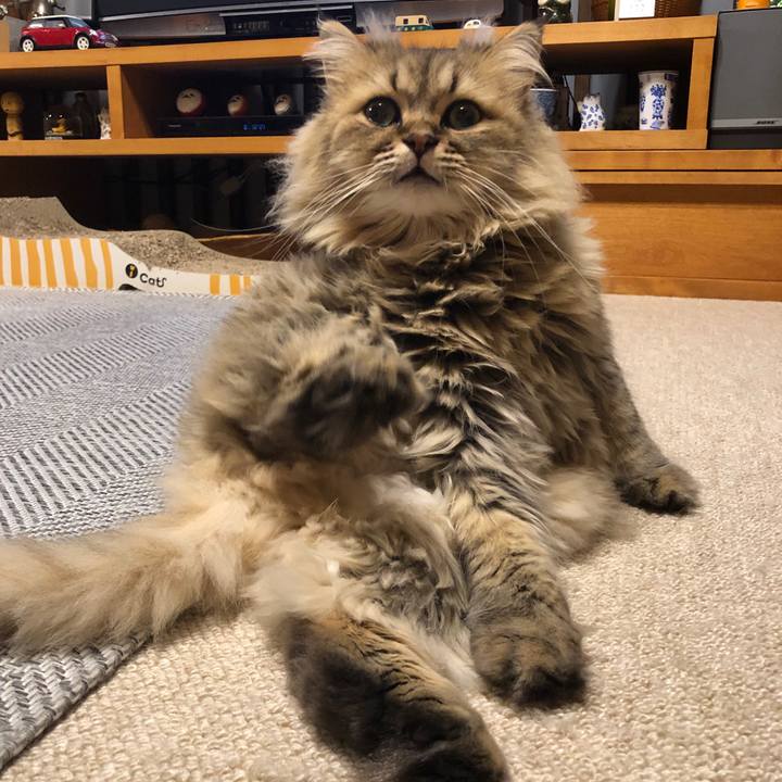 B7976fb0 9445 45c1 820e cf657e6425e9 1567480788582