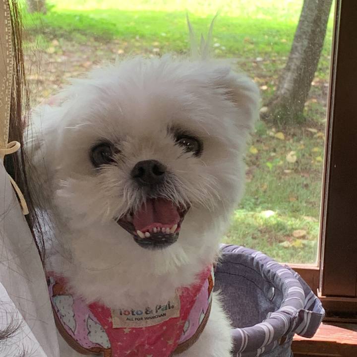 B7978482 909d 474e 9457 ba6531b5fa32 1658147007342