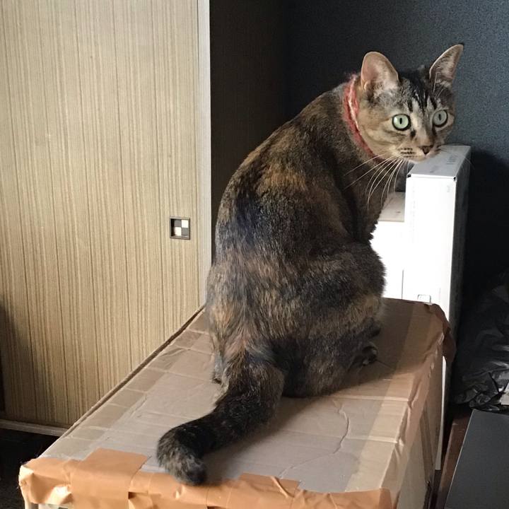 B79786a6 d2b2 422d add2 810d847e5785 1633943740946