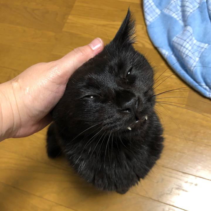 B797b777 f584 4c42 89b5 19407870e421 1568206541128