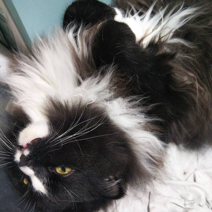 B797b80d f7d6 4916 91b6 2897af66b7f1 1660532846466