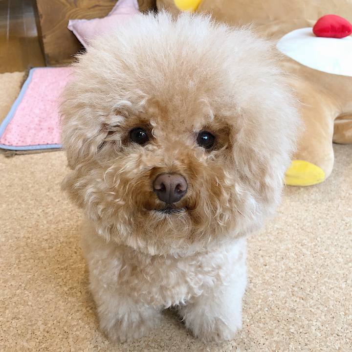 B797bb3d 3441 4c8d a70d f63218a5ee23 1527047221952