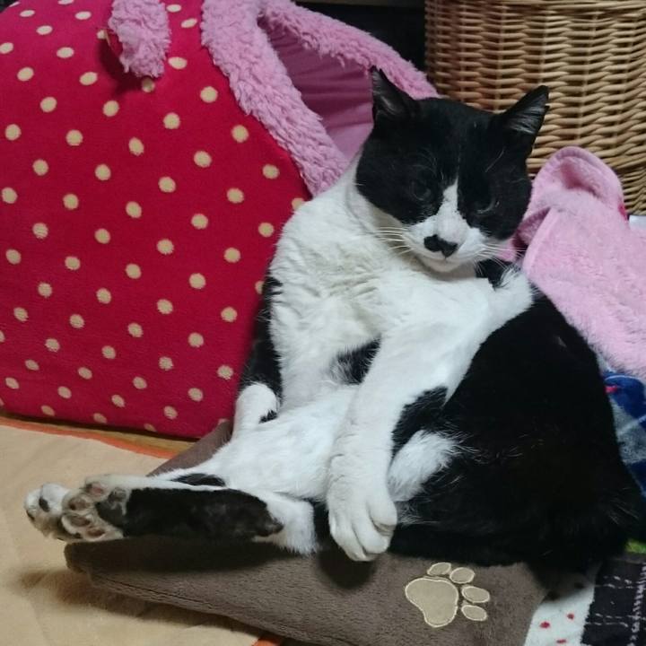 B79839a5 aa2c 4766 8063 91182a90b803 1520592468794