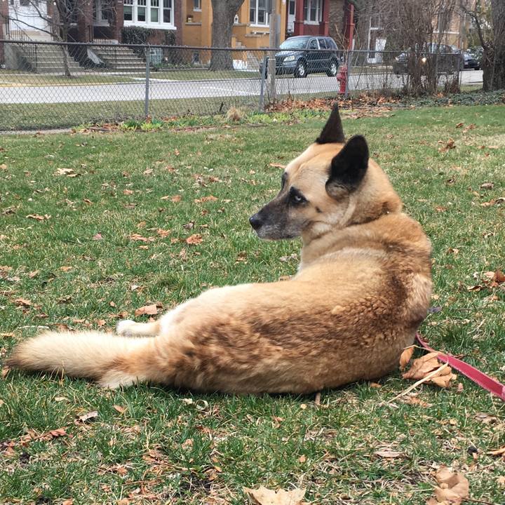 B798a7c8 4bd9 45ae a87c ba15af258c6f 1522361343262