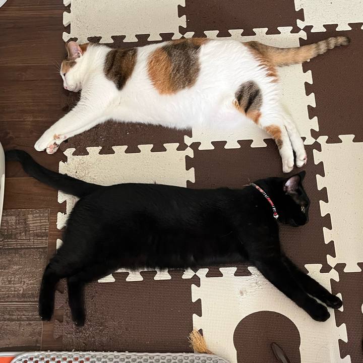 B798d7ec 0b4c 4847 b6d0 49582310263b 1757230945046