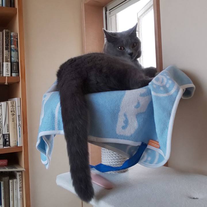 B7990c42 9a49 4ae5 88f4 30d139c90009 1538563452094