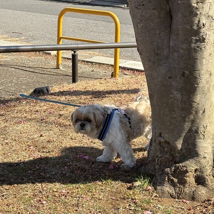 B7991e21 e0b8 40d6 901f 0c12aaa3e56c 1771651394196