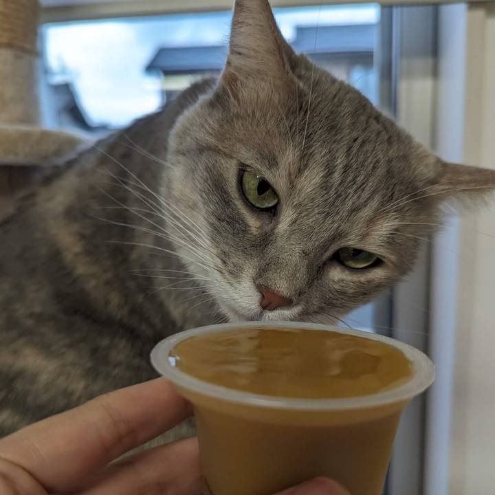 B79923fd cde2 4a21 ab42 ff1ed814186a 1693195722014