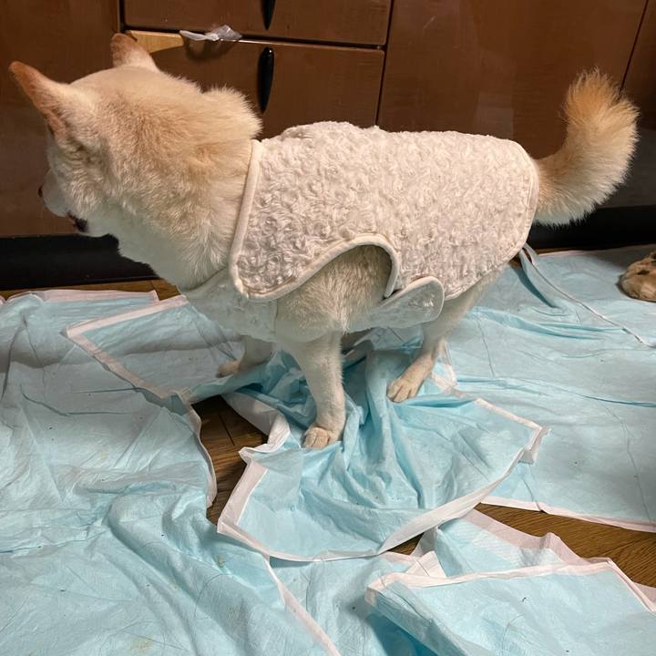 B79929ff 452f 4bd3 ae49 dab793009f56 1637930912962