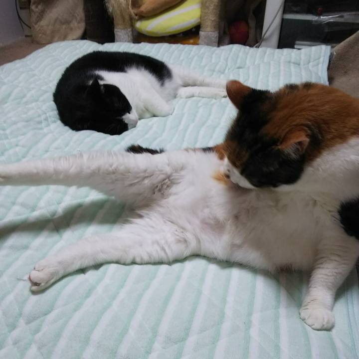 B7995b1e d181 4286 949c d8360976f7f9 1534685979648