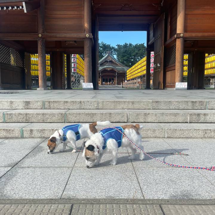 B799a522 4ee3 4777 9b32 14dd3cf5697d 1723676018326